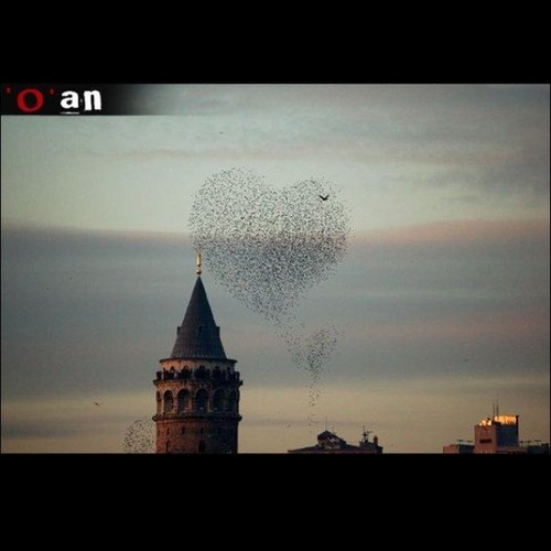 merwelerdenbiri's profile picture. Yazı yazmayı bi de kendimle konusmayı severim ondan burdayım ben yoksa takipleyin diye değil yani valla bak dağılabirsiniz..