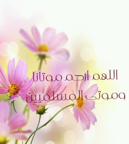 لكل انسان انقطع عملهه اسأل الله ان لا يحرمنا واياكم الاجر وان يجمعنا بمن نحب في اعالي جناته