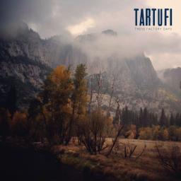 tartufi's profile picture. A noisy trio from SF.