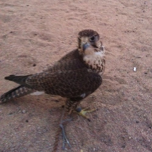 vasd1234's profile picture. 