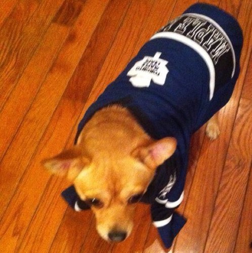 Love my #leafs #jays #leafsnation #raptors #argos .. all that is Toronto