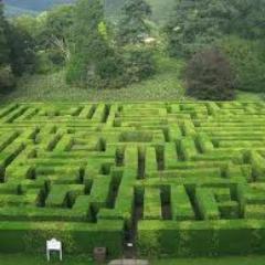 GOFPSPY's profile picture. 