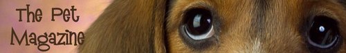 thepetmagazine's profile picture. Mascotas, animales, perros, cachorros, gatos, veterinarios