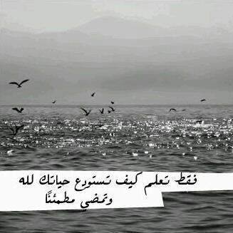 ‏‏‏‏‏‏‏‏‏‏‏‏‏آنآ فتآه ~ سعوديہ ~ هلآليہ ، متفآئله ، آسآمح لآكن مآأنسى آلجروح ، أكره المجآمله وآلنفآق ، صریحہ وﻵأجيدلبس آﻷقنعہ ~ إذآ گرهت ترگت♡اللہ گریم♡