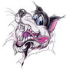 lecoyote666's profile picture. 