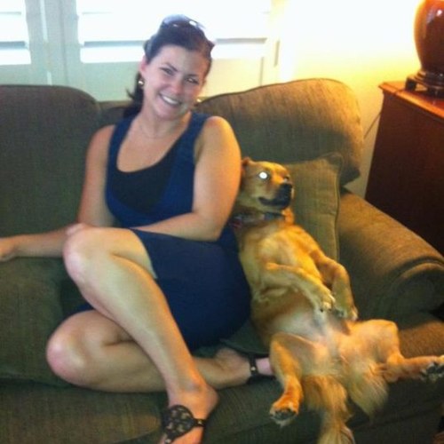 lillianlincoln's profile picture. 