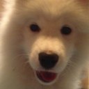 Laura liddle - @emsgemslaura - Twitter