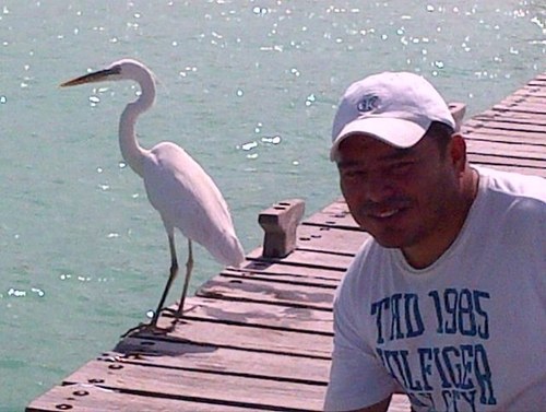 no cuestiones mis acciones si no conoces mis razones