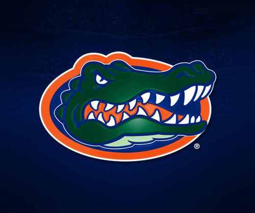 GO GATORS