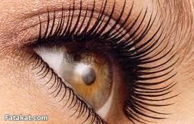 بنت عبدالله