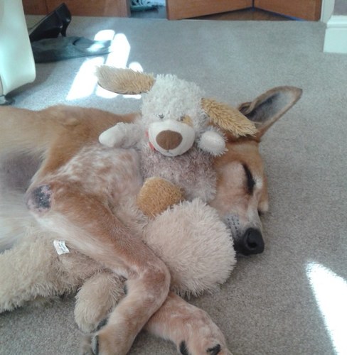 gillypbgp's profile picture. 