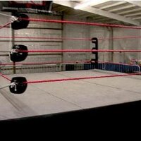 Between The Ropes (@betweenropes) 's Twitter Profile