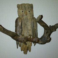 Ashley Cooper (@wightowl) 's Twitter Profile Photo