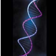 GeneWatch's profile picture. Spreading awareness of genetic disorders and discrimination against them. Let's eliminate the 1% difference between each other and prove we are all equal.