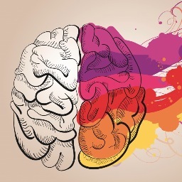 For every fact you read on this page, you will gain more knowledge. Follow me and become a genius.