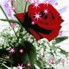 ENERGYREV3USANA's profile picture. USANA HEALTH SCIENCES !!