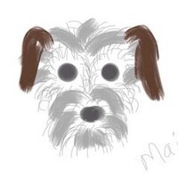 Kerry Doig (@kdoig2011) 's Twitter Profile