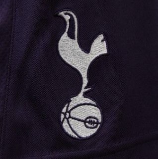 iamHotspur's profile picture. Just a fan with with massive respect, interest and love for the Club. Tottenham Hotspur FC till i die. All views are my own.