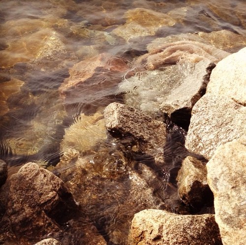 RockyBranchCola's profile picture. We advocate for clean water in Columbia, SC.