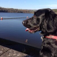 Kevin Mortimer (@kevinmortimer) 's Twitter Profile