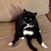John Patterson (@backupflakattak) 's Twitter Profile Photo John Patterson (@backupflakattak) 's Twitter Profile Photo