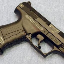 Vini_P99_Hack's profile picture. 