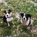 Pete Lester - @Padmart33 - Twitter