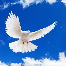 Non-partisan, campaigning for liberal values in Britain. Democracy; civil liberties; racial, gender and age equality.