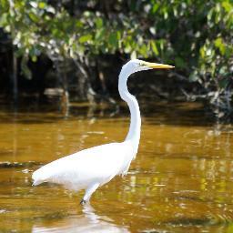 ¡Cultura por la conservación! Las 176 Áreas Naturales Protegidas brindan servicios ambientales y  su conservación permite en gran parte la sustentabilidad.