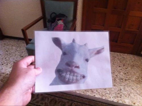 verguencitas's profile picture. 