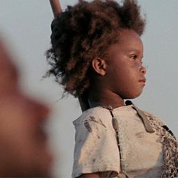 BeastsTheMovie's profile picture. A new film from Court 13, Cinereach and Journeyman Pictures