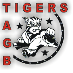TewksTigers's profile picture. Children's Tae Kwon Do class run by a qualified female instructor in the Tewkesbury area. Teaching children self defence. Message for details