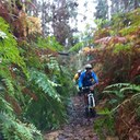 Sergio Pardo - @sergio141288 - Twitter