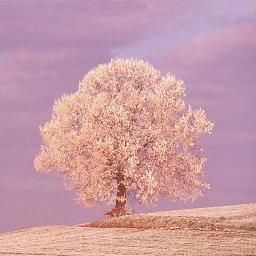 Kramel2580's profile picture. الحياة إما أن تكون مغامره أو ​​ﻻ شي