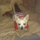 Jessica Kepler - @JessicaKepler - Twitter