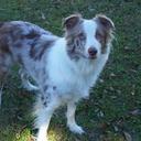 cherri lucas - @dakota52963 - Twitter