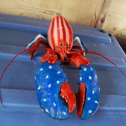 Something fishy going on in DC!