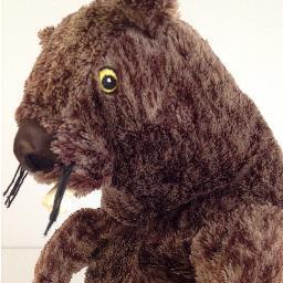 I am a Canadian beaver who lives in the Boreal Forest aka the Tar Sands. I am for keeping the oil in the ground.  Watch my video @ eagerbeavers.ca