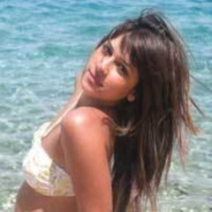 harrisonamo's profile picture. International Volunteers for Peace (IVP) is a Australian non-government organisation promoting peace and justicethrough voluntary wok.