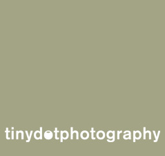 tinydot's profile picture. 