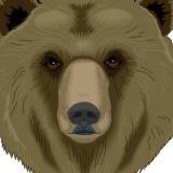 #BruinNation