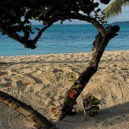 SymiOsgaard's profile picture. Beach lover, book lover, gamer, student, mermaid in training