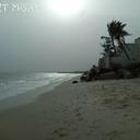 assane seck - @seck_azouseck74 - Twitter