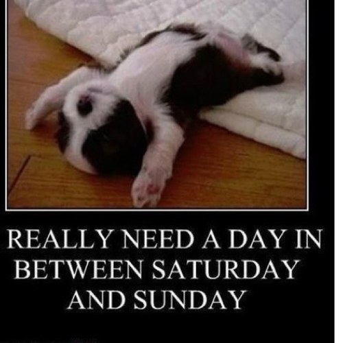 trinitydunmire's profile picture. Hey everybody im trinity!! Follow me plz!! :D