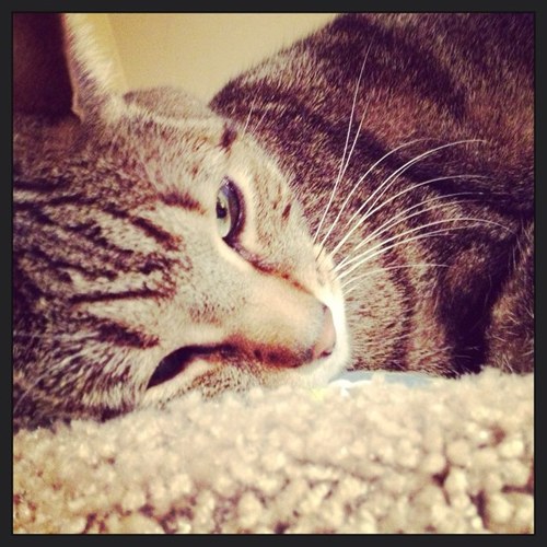 slugbug922's profile picture. 