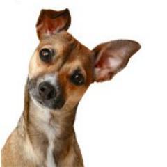 A company by boarded vet. nutritionists that offers free custom online recipes to make complete and balanced fresh homemade pet food using special products.
