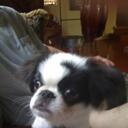 Gary Hudman - @garxhudma - Twitter