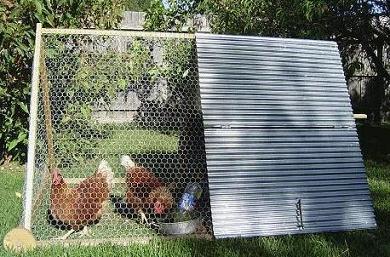 HappyHenHouses's profile picture. We sell A-Frame Hen Houses. Give us a call on 
03 59 778895