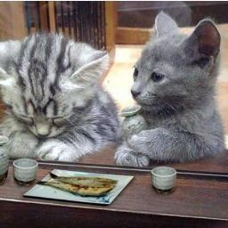 wjw827's profile picture. 회사원, 치즈, IT, 친구, 30대