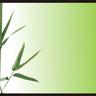 acupunctureNA's profile picture. Promoting health and wellness, Mind, Body & Soul,  through #acupuncture, #nutrition counseling and #wellness coaching.